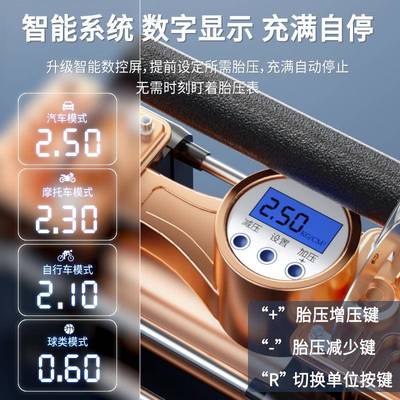车载充气泵12V汽车用家用两用双缸220v便携式小轿车大功率打气泵