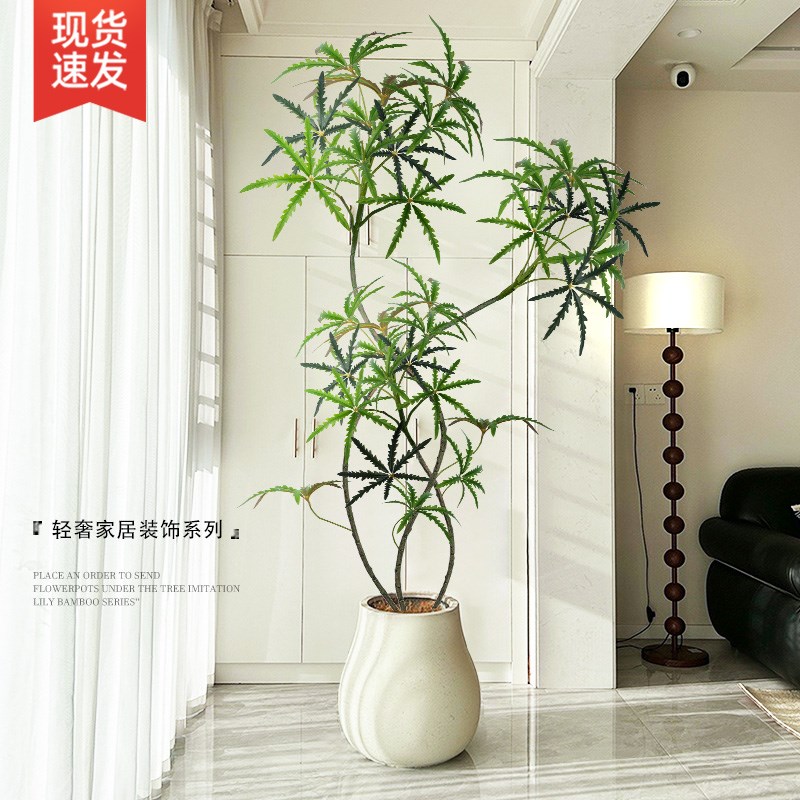 大型彷真绿色植物孔雀木室内客厅落地装饰花高级彷生T植物盆栽盆