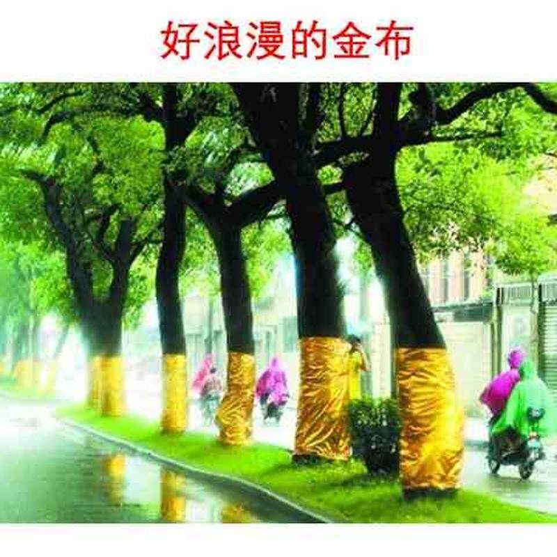 金箔纸包柱子烫金布料r金蛋布金箔布景树节日舞台装饰布包皱金布