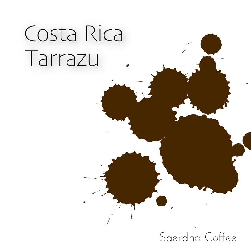 哥斯达黎加 塔拉珠 黑蜜处理 120/227g包装