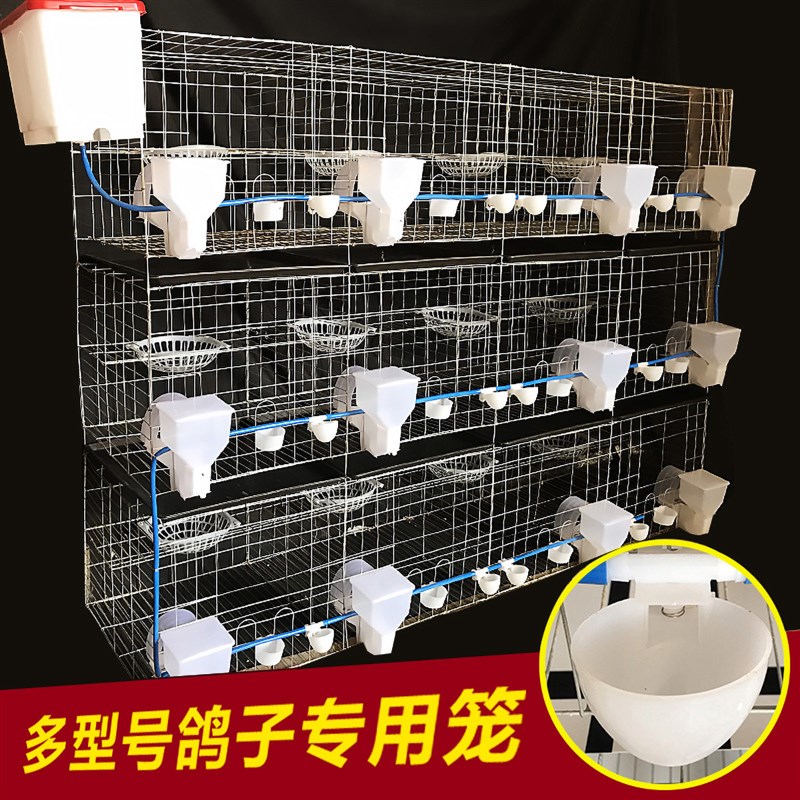 鸽子配对笼养殖繁殖笼12位16位肉鸽家用室外鸽舍组装鸽笼加粗