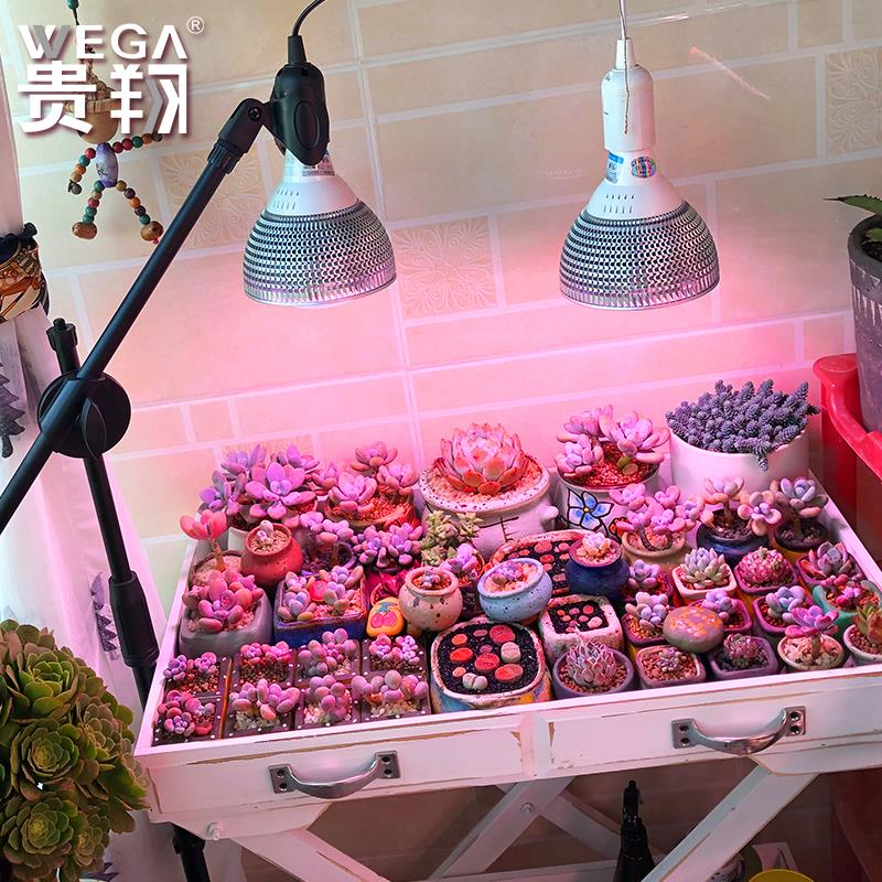 贵翔 多肉补光灯家用上色全光谱防徒长LED彷太阳光光照植物生长灯