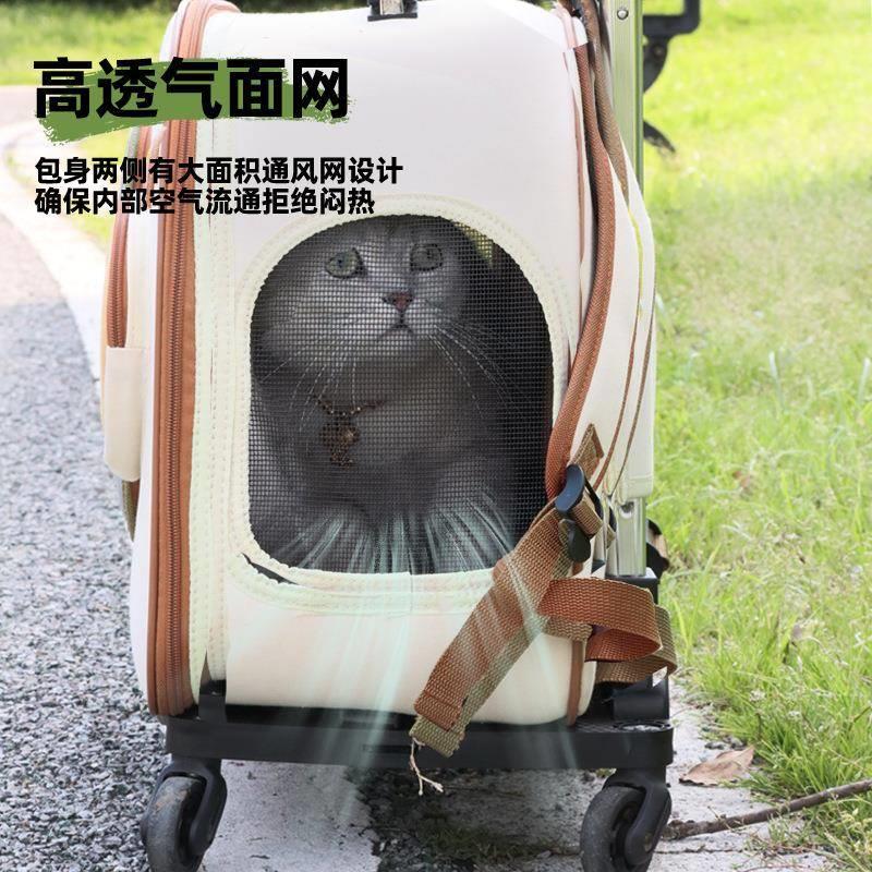 猫包外出便携猫咪背包宠物双肩包书包保暖坐车神器狗狗大容量猫箱