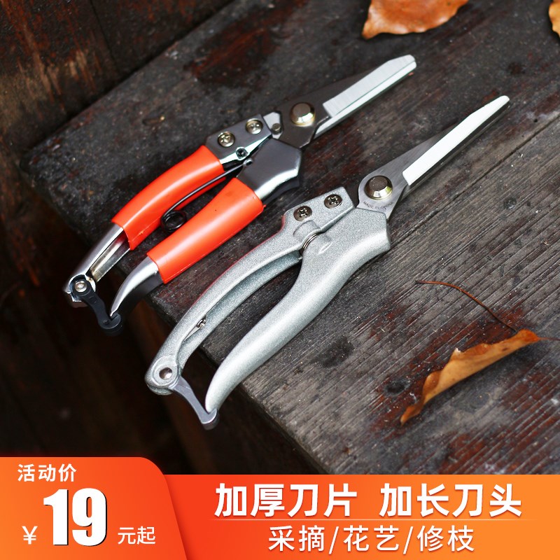 修枝剪树枝剪刀修剪花艺园艺葡萄家用火龙果专用剪果树工具采摘剪图片