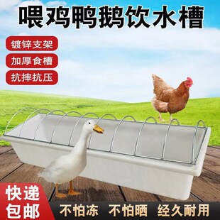喂鸭鹅食槽水槽一体喂食槽鹅用饮水器养M鸭水池喂鸡神器鹅料槽