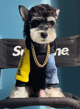 宠物猫咪狗狗衣服 春秋装  中小大型犬防掉毛空调服 连帽拼色卫衣