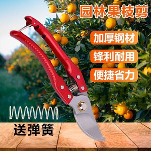 园艺修枝剪果木花艺剪枝剪u刀修花修树不锈钢果植剪家用园林工具