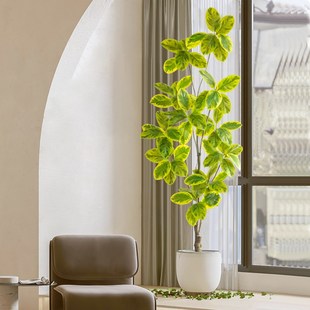 仿真植物仿生绿植盆栽高山榕假树假花室内客厅落地装饰盆景观摆件