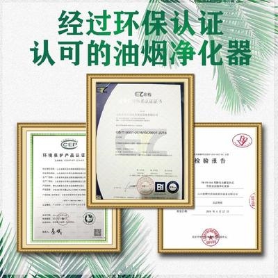 油烟净化器大味机加强直排排烟风量净机N体一无烟环保6000