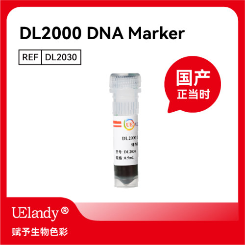 UElandyDNAMarkerDL2000/5000