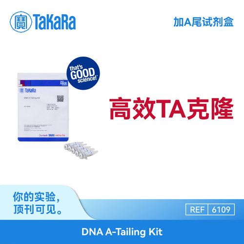 TaKaRa6109加A尾试剂盒