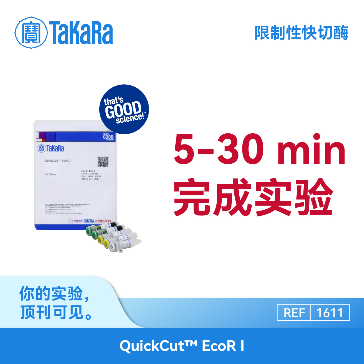 TaKaRa1611限制性快切酶