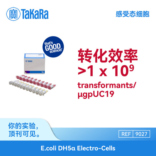 TaKaRa感受态细胞克隆/蛋白表达