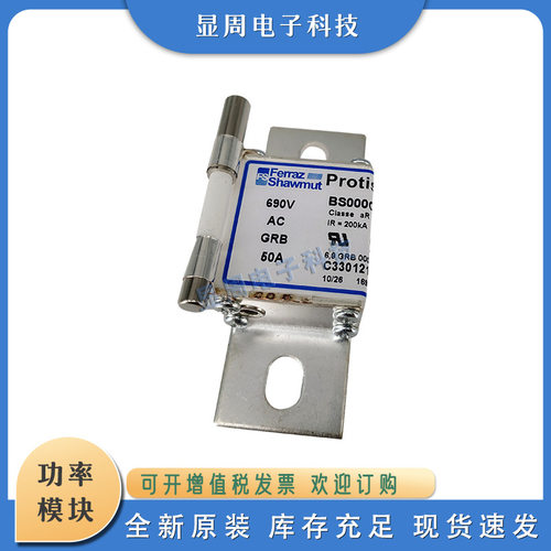 全新保险丝熔断器G097365 A097359 W097263 BS236UM69V175P 300P