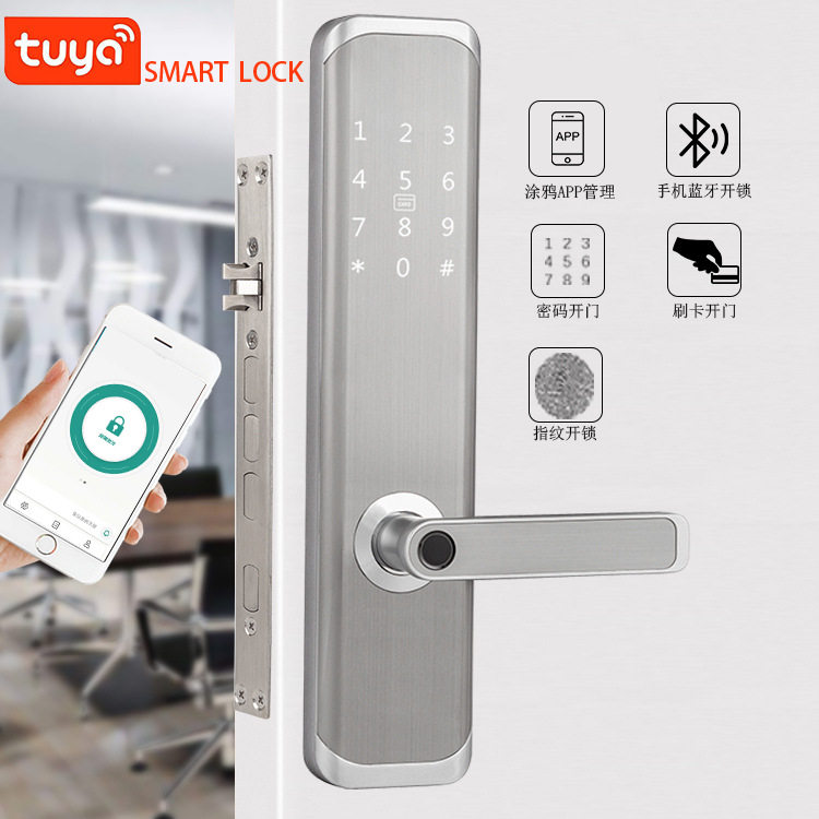 TUYAAPP离线指纹密码门锁