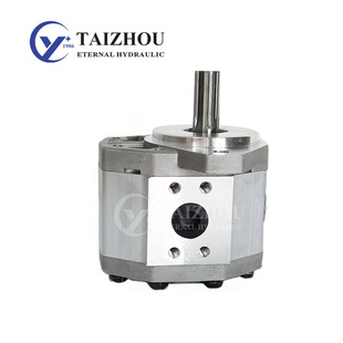 量大价优种树机CBQ播种机不锈钢拖拉机液压齿轮泵