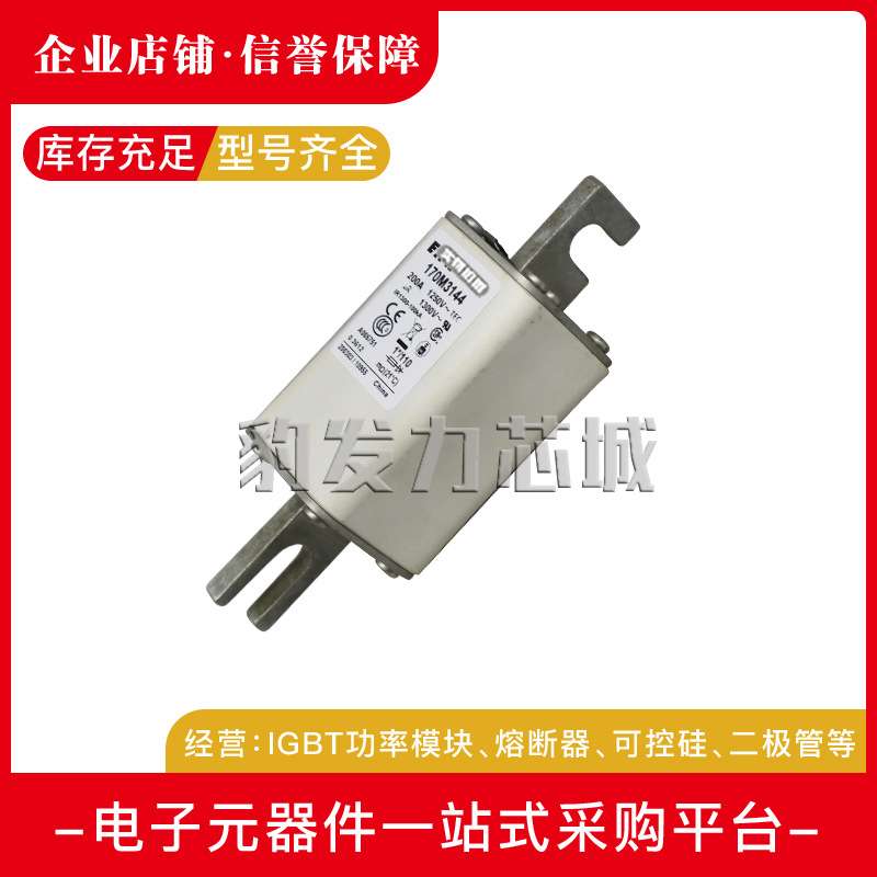 170M3117/3118/3119/3120/3121/3122/3123全新熔断器现货