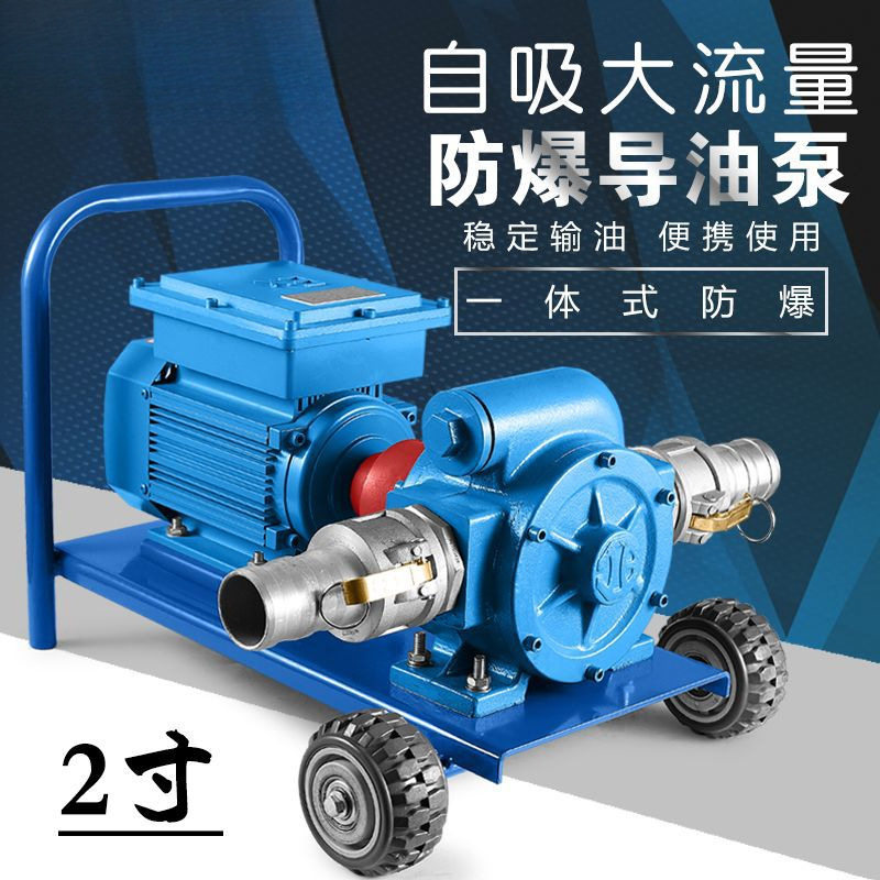 电动抽油泵12v24v220v防爆导油卸油泵大流量柴油汽油油罐车抽油泵