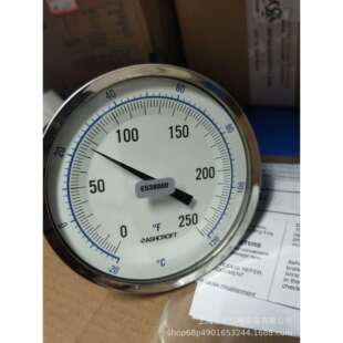 20120CASHCROFT指示器 0250F 50EI60E040XCS