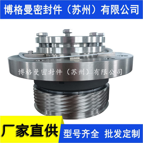25-H75F2/100-E101-A2高压给水泵驱动端机械密封非驱动端机械密封