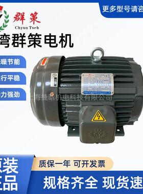 S.Y台湾群策电机C03-43B02.25KW内轴式液压泵马达型号齐全