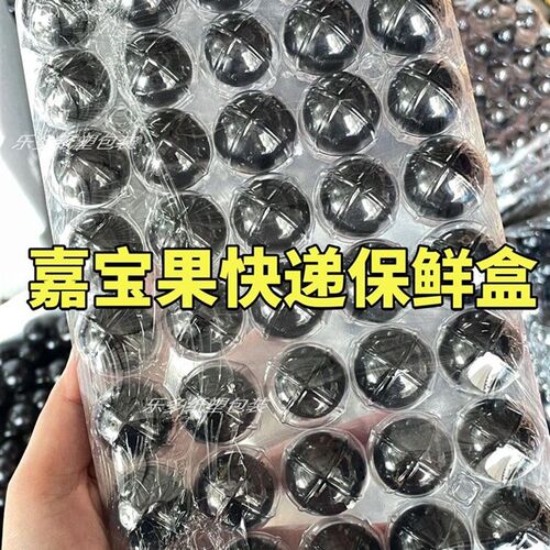 杨梅包装c盒树葡萄快递打包盒嘉宝果李子运输独立透明盒子保鲜盒