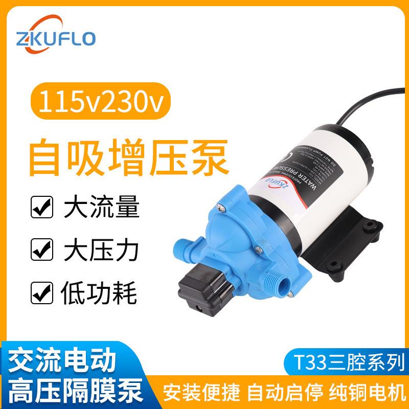 115V230V交流自吸增压隔膜泵微型开关抽水泵洗车增压泵房车水泵泵