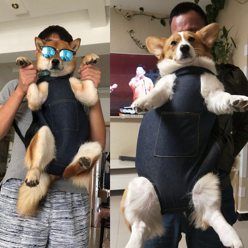 宠物背包外出便携包胸前狗狗猫咪骑行双肩背包透气大号重宠40斤内