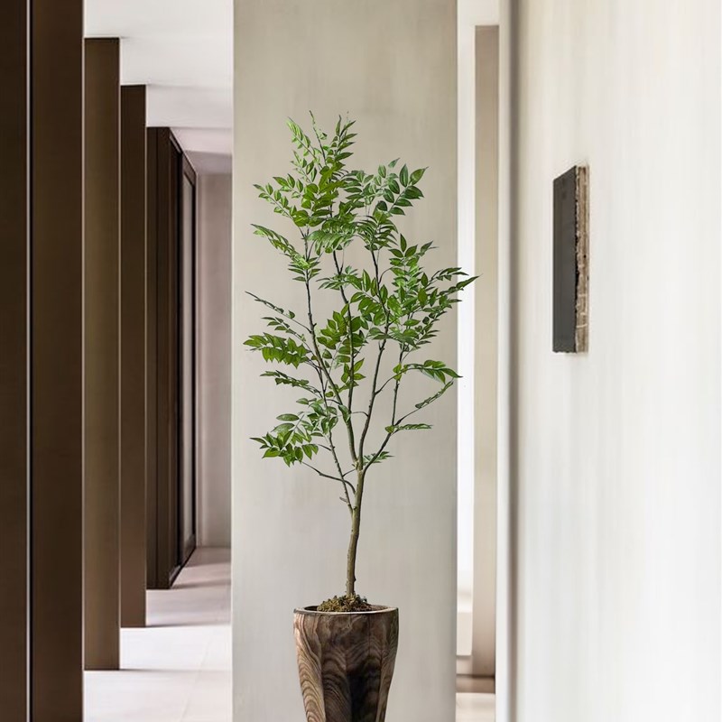 侘寂风绿植落地花器整挖实木桶民宿茶室造景植物装饰品摆件大花瓶