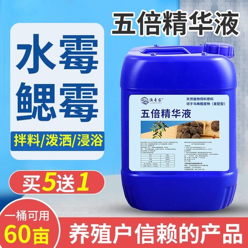 五倍子精华液水产养殖五倍子末鱼塘硫醚沙星水霉病鳃霉病止血鱼药