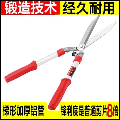 花剪园艺剪刀绿j篱剪工具草坪修剪修枝剪花草树枝剪粗枝园林大剪
