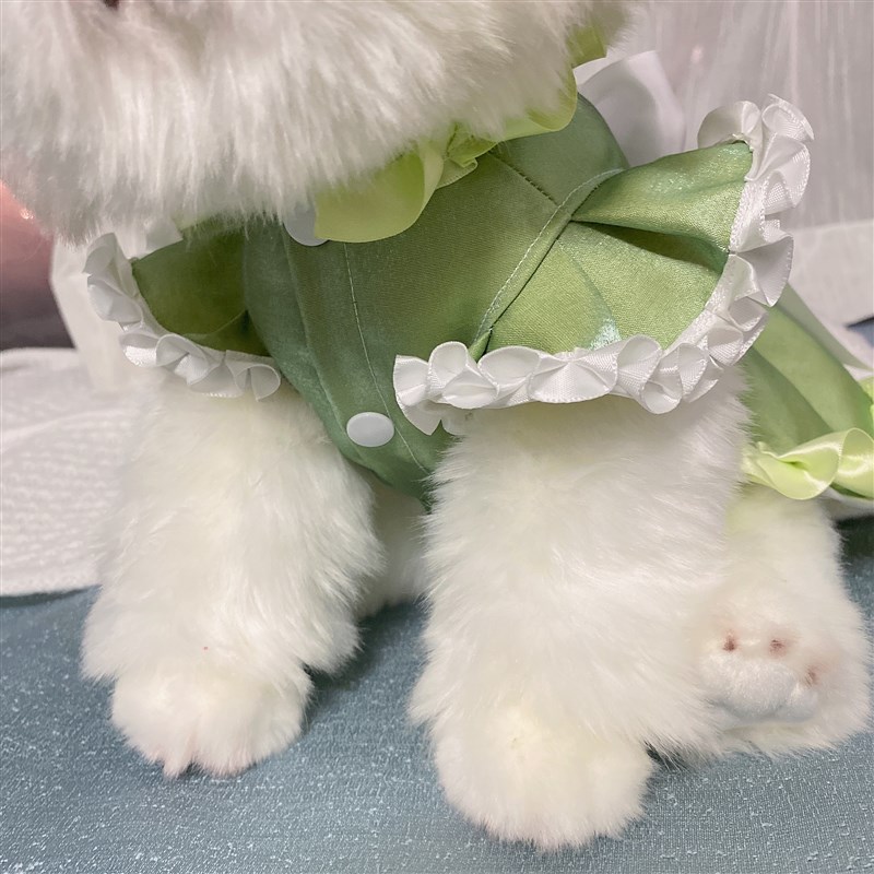小狗狗春秋薄款衣服宠物猫咪w礼服法斗柯基比熊约克夏少女连身裙