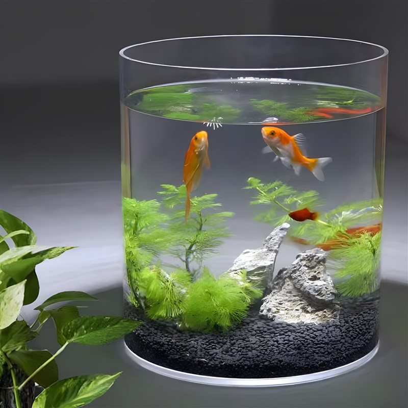 创意透明亚克力圆k柱形鱼缸客厅摆设大口径鱼缸容器支持定制加工