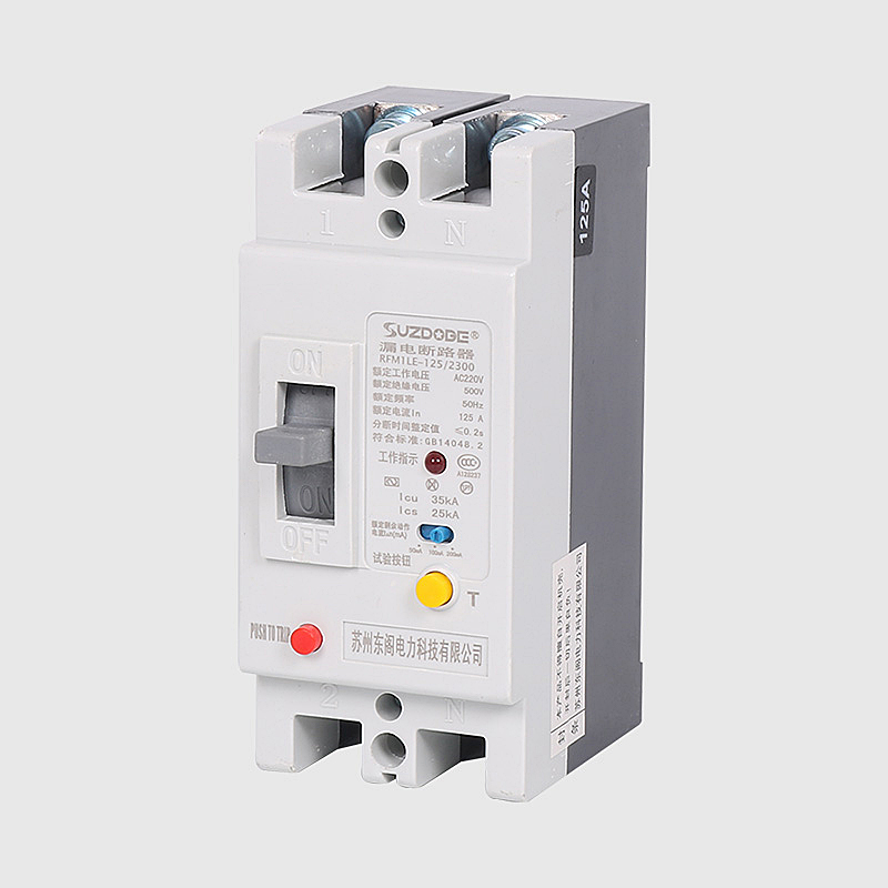 2P塑壳漏电保护器 单相100A125A 2C25安250A 220V带漏电断路器开