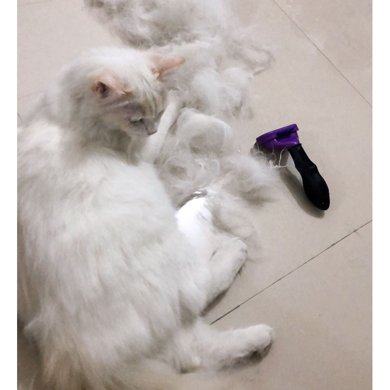 狗毛梳子b狗大型犬柯基狗狗猫金毛专用猫咪拉布拉多梳毛器神器毛