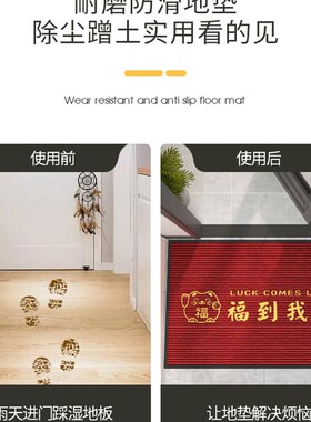 入户门地垫大门口进门耐q脏脚垫2023新款门外出入平安门垫红色地