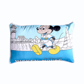 儿童宝宝0枕头四季 9岁定型W枕芯护头枕透 通用纯棉卡通可爱枕套3