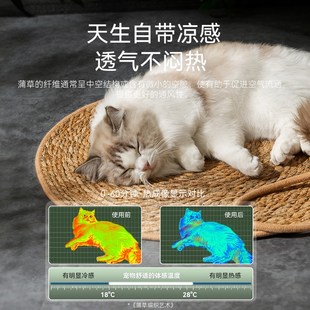 通用睡觉用猫窝夏天睡垫狗狗地垫凉窝宠物用品 猫垫子猫咪凉席四季