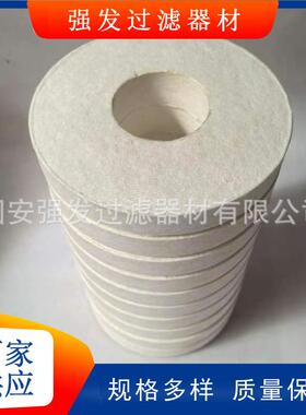 BG15/25油滤芯PA5601364滤油机滤芯PA5601340风电齿轮箱滤芯