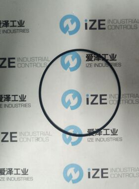 KLOTZ O型圈PZG原装