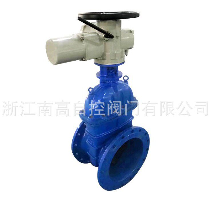 南高阀门Z941W电动楔式闸阀调节防爆型明杆硬密封
