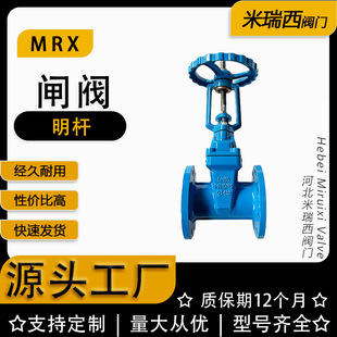 明杆闸阀软密封法兰球墨铸铁防护闸阀 16Q 厂家河北Z41X