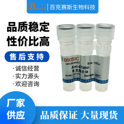 Anti-STMN1 Monoclonal antibody 实验用单克隆抗体
