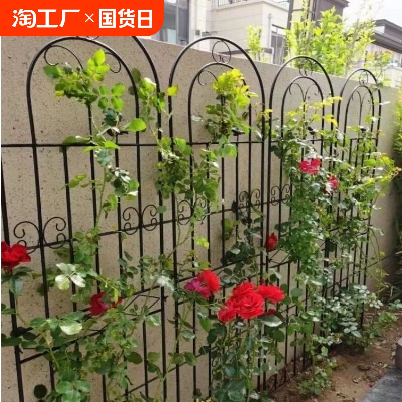 月季爬藤架子蔷薇植物攀爬花支架户外庭院花园铁艺网格栅栏墙壁