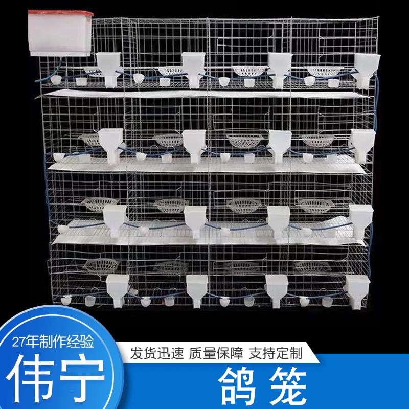 现货大号加粗鸽子用具 16位养殖鸽子笼 信鸽配对笼肉鸽繁殖鸽子笼