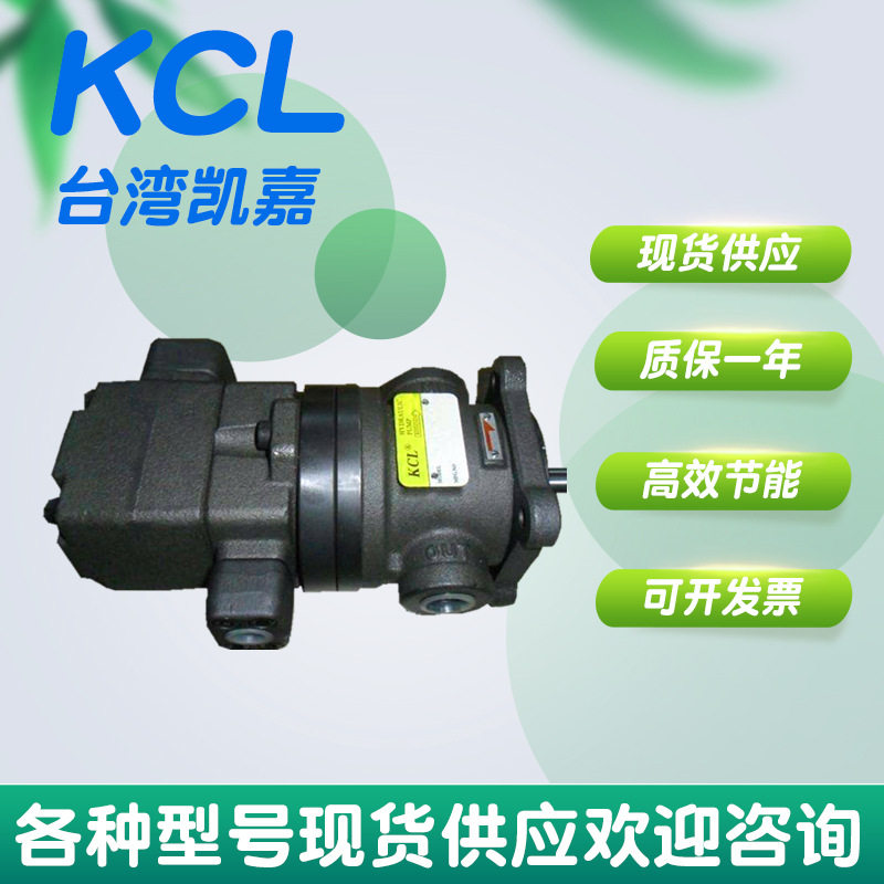 台湾凯嘉KCLDVQ20-26-F-RAA-01注塑机压铸机液压泵总成小型