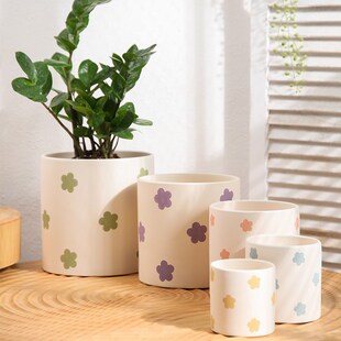 圆柱形纯手工刻印波点陶土素胚花盆透气吸水带托盘蝴蝶兰绿箩盆栽