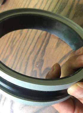 MERKEL 密封 B1548-070.485/2420506-M0301