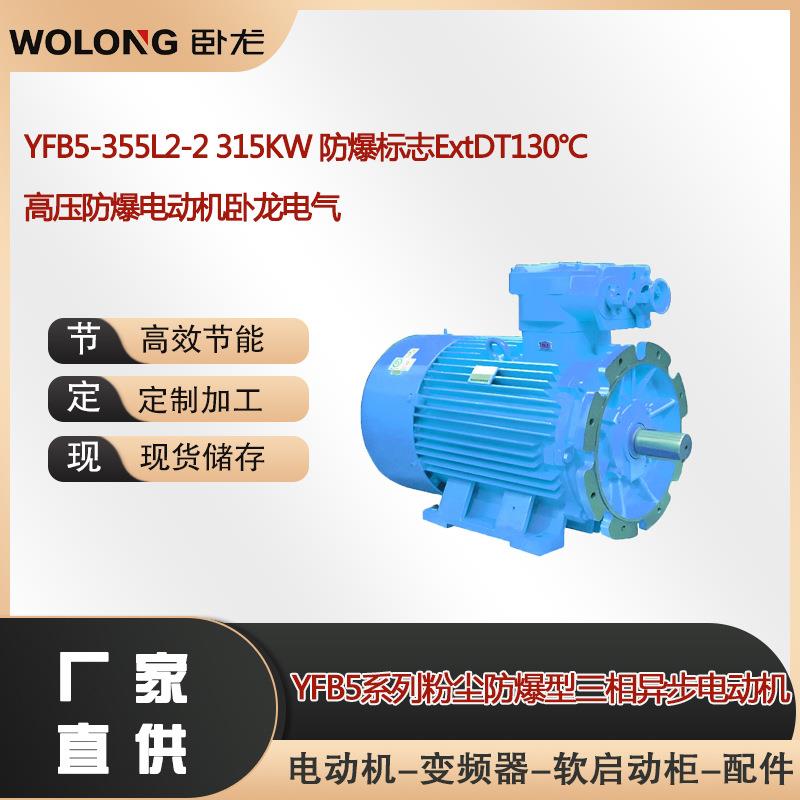 YFB5-355L2-2 315KW 防爆标志ExtDT130℃ 高压防爆电动机卧龙电气