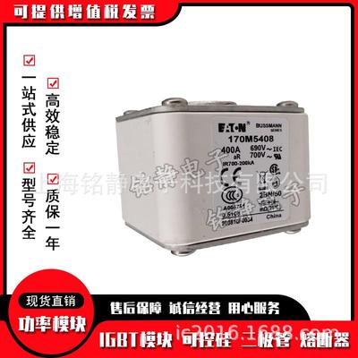 170M5408170M5409170M5410熔断器170M5411巴斯曼保险丝170M5412